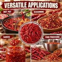 Piments rouges séchés entiers en vrac avec emballage personnalisé pour hot pot et assaisonnement