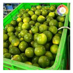 Lima verde fresca sin semillas de grado de exportación de Vietnam, jugosos cítricos con sabor agrio, ideal para uso en bebidas y alimentos - Product Image 1