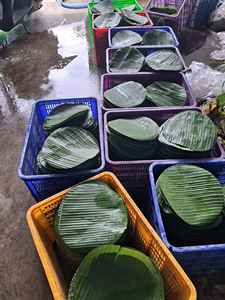 ใบตองแช่แข็งผลิตภัณฑ์ทางการเกษตรจากเวียดนามแบบ2024 - Product Image 5