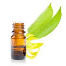 100% pur ylang-YlangOil Huile en gros en vrac Ylang-ylang naturel et huile verte d'hiver pure Ylang-Ylang - Product Image 3