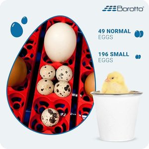 Borotto Medium-Sized 49 <b>Eggs</b> <b>Incubator</b> Thermostat Made in Italy Real 49 Plus Automatic Professional <b>Egg</b> <b>Incubator</b> 110-120V - Product Image 2