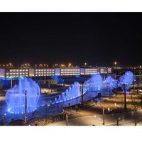 Fabricante Chino Ofrece Fuente de Agua para Jardín Exterior de Acero Inoxidable 304 de 100 m, Estilo Moderno, con Luces RGB