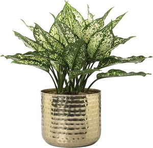 Pot de fleurs moderne en métal noir avec support doré, design minimaliste pour plantes d'intérieur - Product Image 6