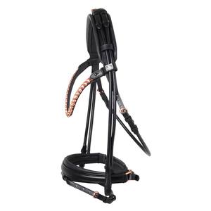 Bride en cuir Horse Weymouth Double rênes en cuir avec rembourrage Softy Ten Color - Product Image 1