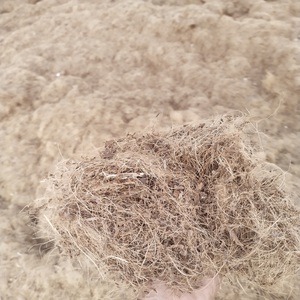 Chất lượng hàng đầu dừa <span class=keywords><strong>CoCo</strong></span> than bùn khối hoặc xơ dừa pith 5kg gạch cho soilless canh tác - Product Image 1