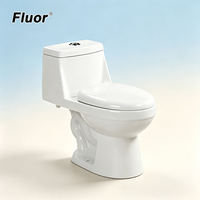 Ensemble WC moderne en céramique monobloc avec bidet intégré pour salle de bain