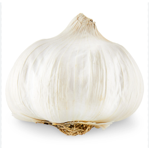 Ail blanc normal de qualité supérieure biologique Livraison rapide Ail sain et savoureux Idéal pour la cuisine et les recettes - Product Image 2