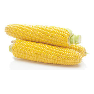 Maïs jaune séché de haute qualité pour bovins et chevaux Excellent pour l'alimentation des animaux - Product Image 6