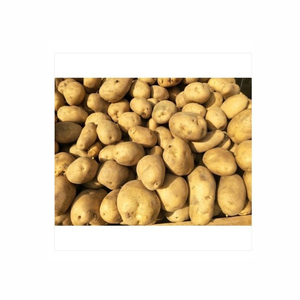 Frites surgelées biologiques Frites de pommes de terre fraîches surgelées Doigts de pommes de terre demi-finis Lanières de pommes de terre fraîches surgelées Qualité d'exportation - Product Image 6