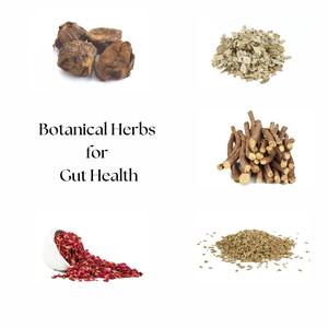 Herbes essentielles pour le bien-être digestif Botanicals for Gut Health - Product Image 6
