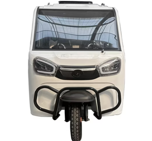 MEILLEUR TRICYCLE ÉLECTRIQUE À 3 ROUES TOUT FERMÉ POUR PASSAGERS - Product Image 2