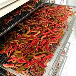 ชิปฝรั่งอบแห้งขนมขบเคี้ยวเขตร้อนธรรมชาติสำหรับการส่งออกจำนวนมากขายส่งจากเวียดนาม - Product Image 6