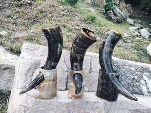 Corne à boire médiévale Viking faite à la main véritable corne de buffle naturelle avec verre véritable à bord en laiton - Product Image 5