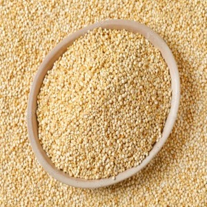 Grains de quinoa péruviens biologiques et conventionnels à vendre - Product Image 1
