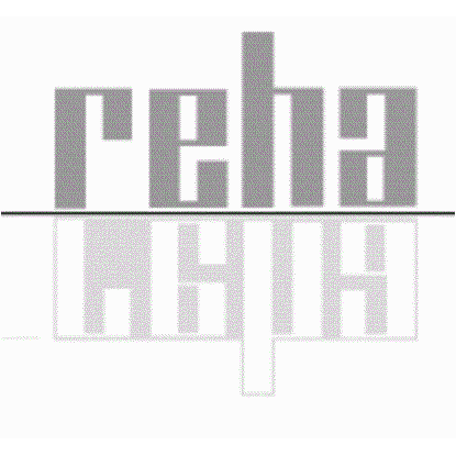 Reichenbächer + Hasel Schleiftechnik GmbH logo