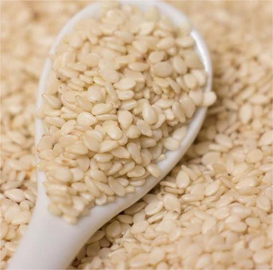 Graines de sésame blanc biologiques naturelles de haute qualité, approvisionnement en vrac, récolte fraîche 2026, utilisation dans l'industrie alimentaire, boulangerie, confiserie - Product Image 1