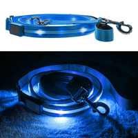 Accessoires pour animaux de compagnie lumineux électroniques personnalisés, imperméables, rechargeables, clignotants, laisse pour chien LED pour la sécurité nocturne