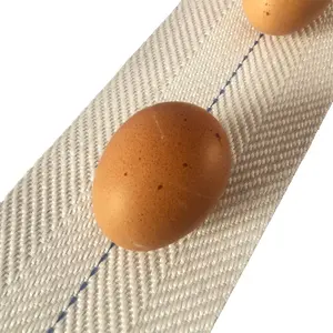 Sabuk Conveyor untuk peternakan unggas, sabuk koleksi telur 100 mm lapisan ayam kandang lapisan baterai peralatan unggas