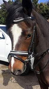 Brida Equipride Acolchada y Cómoda con Diseño Anatómico de Cristal Transparente Diamante, Brida para Caballo de Cuero Anatómico - Product Image 4