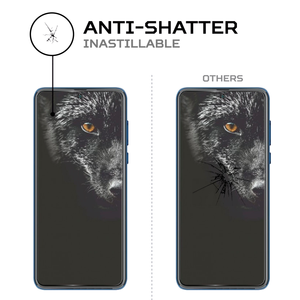 ฟิล์มกันรอย ANTISHOCK สำหรับอุปกรณ์เสริมมือถือแบล็คฟ็อกซ์ B10 พรีเมียม - Product Image 5