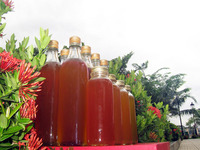 Abeille à miel vietnamienne: Elixir d'or naturel pour la santé et la vitalité