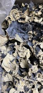 Champignon d'oreille en bois séché/Champignon séché de haute qualité pour l'exportation/Champignon d'oreille d'arbre du Vietnam Mme Lily - Product Image 5