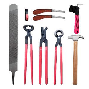 Kit d'outils de tonte des sabots pour chevaux et bovins, robuste, manuel, en acier inoxydable, pour la pratique vétérinaire - Product Image 3