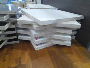 Contrachapado de Álamo de 9mm-21mm de Primera Calidad para Encofrado, Construcción y Muebles, Emisión de Formaldehído E0, Fabricante Mayorista - Product Image 6