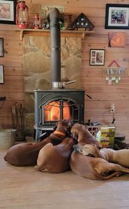 Calentador de estufa de chimenea ardiente, estufa de Camping, barbacoa, estufa de fuego Real, pellets de madera de pie, pozo de fuego interior de madera, acero para exteriores - Product Image 3