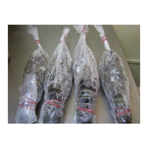 Homard américain entier surgelé de haute qualité disponible à la vente à bas prix - Product Image 6