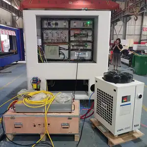 Zhanfeng 기술 글로벌 에이전트 또는 판매 파트너를 찾는 금속 시트 섬유 레이저 절단기
