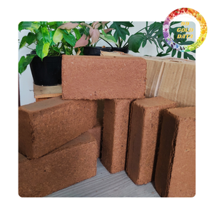 Poussière et blocs de tourbe de coco pour l'agriculture | Qualité des exportations | Approvisionnement en vrac du Viet Nam - Product Image 6