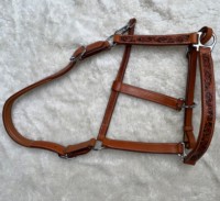 Haute qualité-licou de cheval en cuir-métal en laiton massif avec vernis nickel