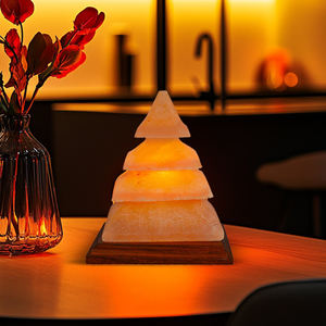 Vente chaude lampe de sel de l'Himalaya Unique artisanat de roche naturelle pour la décoration intérieure et les cadeaux - Product Image 6