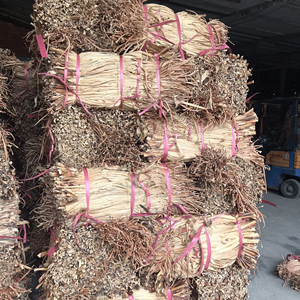 Dried Water Hyacinth Raw Material for Handicraft/ Dried Raw Water Hyacinth <b>Rope</b> for <b>Storage</b> <b>Baskets</b>/ Ms. Lima - Product Image 1