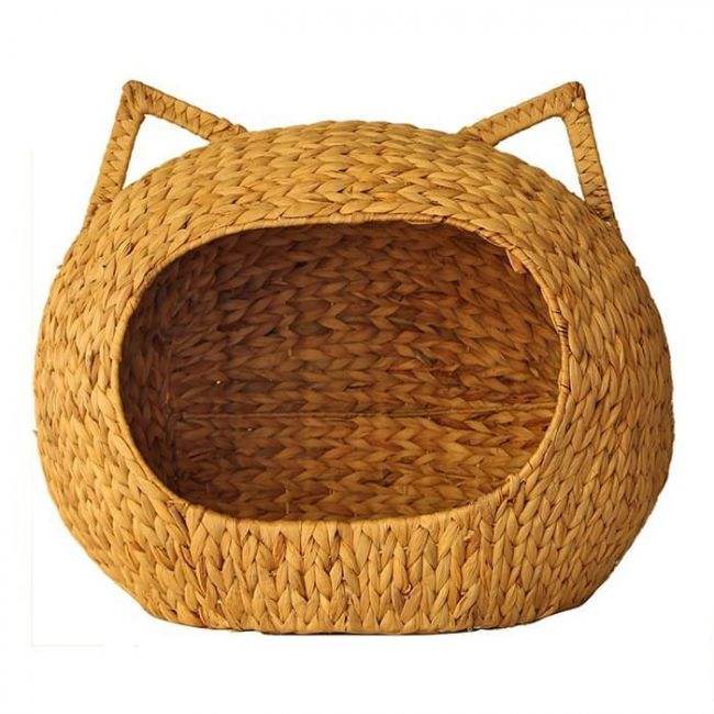 ธรรมชาติสี