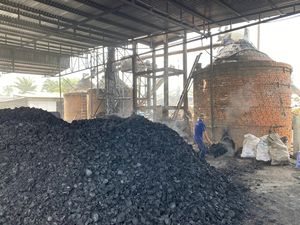 Carbón de cáscara de coco de alta calidad para hacer carbón activado en la industria Pieza de cáscara de coco natural - Product Image 2