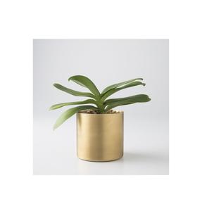 Jardinière élégante finition luxueuse en métal doré poli article de décoration pour la maison bureau intérieur jardin ou patio - Product Image 4