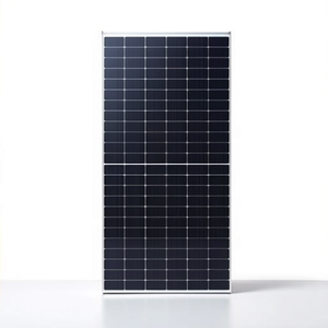 Panneau solaire monocristallin bifacial Phono Solar Twinplus 550W HJT, cellules 210 mm, sur palette - Product Image 2
