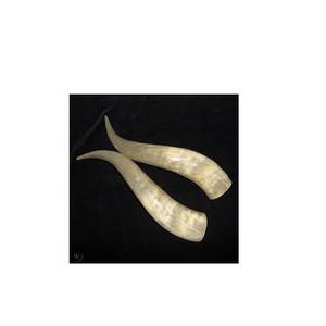 Par de cuernos de búfalo y par de cuernos de búfalo para diferentes tamaños y productos naturales decorativos para pared y Mesa - Product Image 6