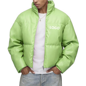 Veste d'hiver pour homme avec logo personnalisé OEM, en duvet de canard et de dindon, veste rembourrée à bulles - Product Image 1