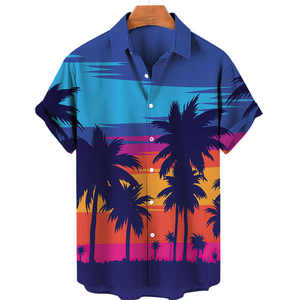 Chemise de plage hawaïenne pour homme, séchage rapide, respirante, design personnalisé, tropicale, manches courtes, tenue de vacances, tenue de villégiature - Product Image 1