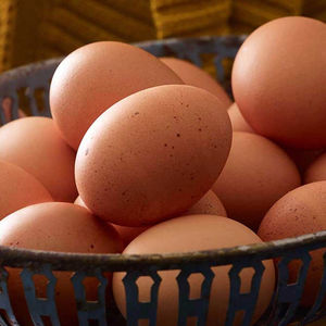 Huevos de Gallina Frescos de Cáscara Marrón de Alta Calidad a Precio de Fábrica / Huevos de Mesa de Granja al por Mayor en Bandeja Grande de 30 Huevos - Product Image 1