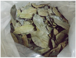 ใบมะขามป้อมอบแห้งพรีเมียม (รสชาติแท้ของเวียดนาม) - Product Image 5