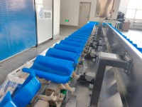 Automatische weegsorteermachine, voedsel sorteermachine voor vlees, groente en fruitverwerkingslijn, op maat gemaakte oplossing