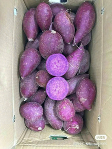 <b>Fresh</b> Sweet <b>Potato</b> Vietnam Origin With Reliable Export Quality And Attractive Price For Distributors - Product Image 5