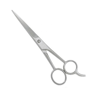 Offre Spéciale 6.0 pouces 01 argent Design de mode cheveux ciseaux de coiffeur lame en acier inoxydable grande valeur pour les fournitures de Salon de coiffure - Product Image 1