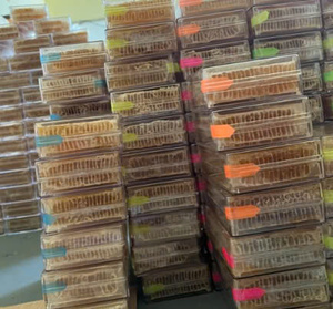 Tratar para los sentidos Delightful Honey Cake Embalaje a granel Miel cruda a la venta - Product Image 2