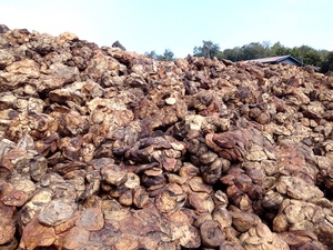 Top Grade Cup Lump High Quality Rubber Raw Materials for Molding Rubber Cup Lump TSR RSS Crepe Rubber Latex SBR 1502 for Sale - Product Image 3