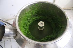 ผงใบมันสำปะหลังแช่แข็งคุณภาพดีที่สุด | ยั่งยืนและพร้อมสำหรับการส่งออก - Product Image 6